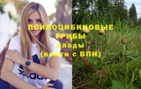 не бодяженный Осинники