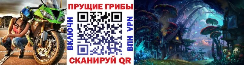 Псилоцибиновые грибы мицелий  Купить закладки  Собинка 